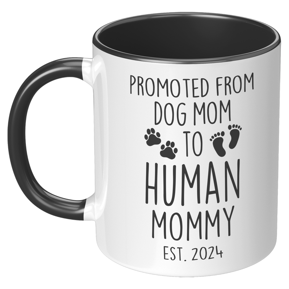 2024 Promoted from Dog Mom to Human Mommy