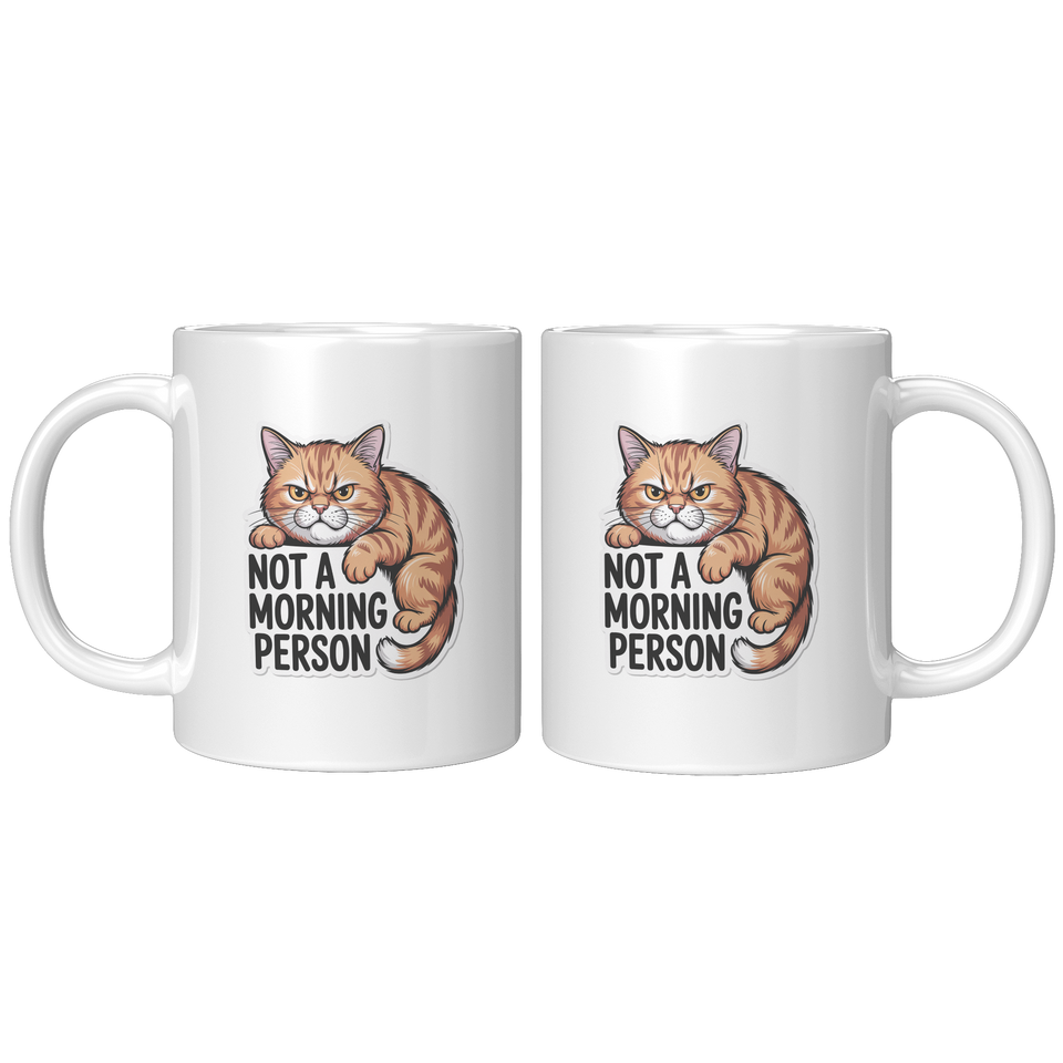 Not A Morning Person Coffee Mug, Funny Novelty Gift