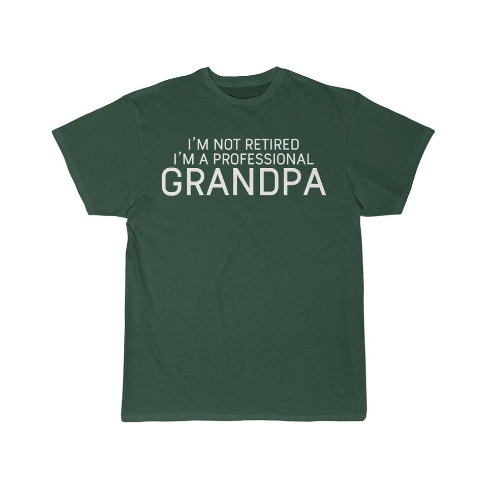 Grandpa Gift Funny Grandpa Shirt Gift for Grandpa I'm Not Retired I'm A Professional Grandpa T-Shirt