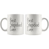 Unique Stepdad Gift: Best Stepdad Ever Mug Step Dad Fathers Day Gift for Stepdad Birthday Gift New Stepdad Gift Coffee Mug Tea Cup White